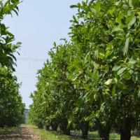 全鋁櫥柜與傳統(tǒng)櫥柜相比的十大優(yōu)勢功能分析